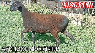 XISORI N1 ЯНА АУКЦИОН