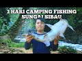 Campingg fishing 3 hari di sungai sibau pertualangan dapat ikan bagarius bermalam di hutan