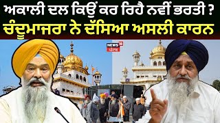 Akali Dal ਕਿਉਂ ਕਰ ਰਿਹੈ ਨਵੀਂ ਭਰਤੀ? Prem Singh Chandumajra ਨੇ ਦੱਸਿਆ ਅਸਲੀ ਕਾਰਨ | Membership Drive| N18L