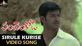 Pandem Kodi Video Songs | Sirule Kurese Video Song | Vishal, Meera Jasmine | Sri Balaji Video
