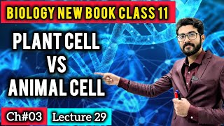 Plant Cell vs Animal Cell Explained with Diagrams | Key Differences Between Animal & Plant Cell