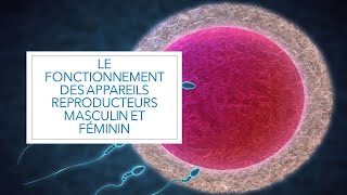 Le fonctionnement des appareils reproducteurs ( Cours de SVT )