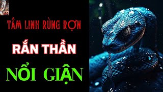 Chuyện Tâm Linh RẮN THẦN Nổi Giận