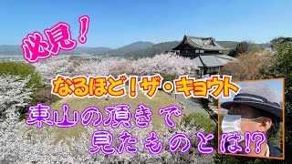 【京都観光〜青蓮院門跡】なるほど！ザ・キョウト　東山の頂きで 見たものとは！？・・・・・・・・・・・・・・・『はい。答えは天台宗 青蓮院門跡の将軍塚青龍殿です！』