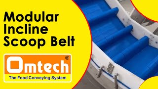 Modular Incline Scoop Belt, Modular Belt Conveyor, Omtech Modular Conveyor #omtechfoodengg