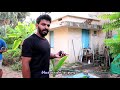 കിടിലം ഗപ്പികളും ഫൈറ്റർ മീനുകളും guppy and betta fish farm visit