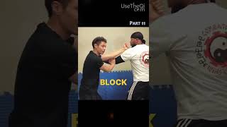 Wing Chun vs. Jeet Kune Do Technique PART 11 #shorts