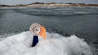 РЫБАЛКА НА ЖЕРЛИЦЫ В МАРТЕ! ТАК Я ЕЩЁ НЕ ЛОВИЛ! ОББУРИЛИ! ТАСКАЮ ПАРАМИ С ЛУНКИ! РЫБАЛКА НА ЩУКУ!