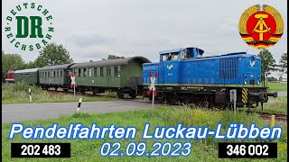 Tag der offenen Tür im Bw Luckau! Fahrten mit Dieselpower wie zu DDR Zeiten mit 202 483 \u0026 342 002!