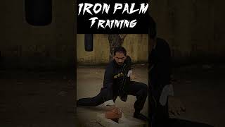 How To Do IRON Palm Training Short | Full Training Video in Below Link |  Bone & Muscle Conditioning