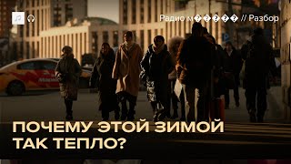 Странная зима без снега. Так теперь будет всегда?