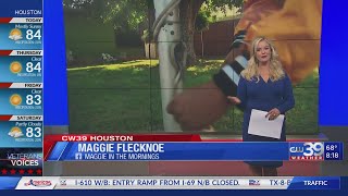 Houston Happenings 11/11/2020 - Maggie Flecknoe