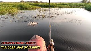 ASLI GELENG KEPALA || MANCING DISINI UKURANNYA MEMUASKAN || BIKIN GAK MAU PULANG CUY