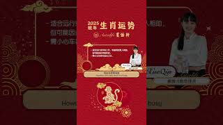 2025十二生肖运势 -  生肖猴🐒【乙巳木蛇年】【Asterlife星语轩：Calvin Lee、Xue Qin】#农历新年 #生肖 #运程