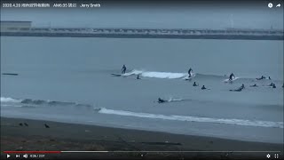 2020.4.20 湘南波情報動画　AM6:35 鵠沼　Jerry Smith