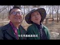 【沙漠變綠洲】中國科技再進步！“無水植樹”千億難求？專家感歎：又一偉大發明！ 中国 纪实 时间 窦文涛 圆桌派 心理學 科技 沙漠 種樹