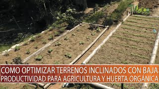 Como optimizar terrenos inclinados con baja productividad para agricultura y huerta organica TvAgro