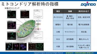 「試薬の選び方」ミトコンドリア-30秒　同仁化学研究所