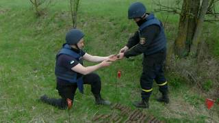 Миколаївські піротехніки знищили 90 одиниць вибухонебезпечних предметів