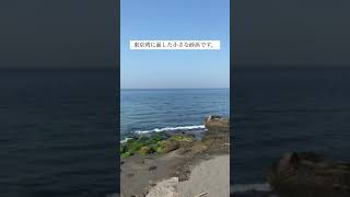 房総の海12 シーグラス・宝貝 TheBeach on the BosoPeninsula12