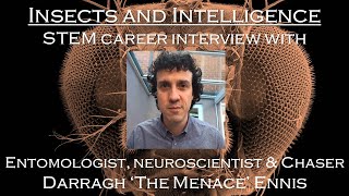 Insects and Intelligence: STEM career interview with entomologist, and Chaser, Darragh Ennis