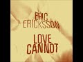 eric ericksson love cannot mr beatnick dub freerange