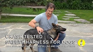 Dog Safety Harness - Use and Installation - Dog Training and Safety