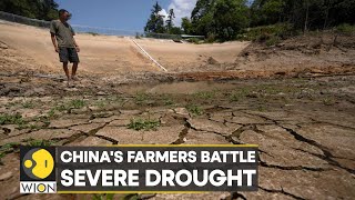 WION Climate Tracker | China's farmers struggle to save crops as drought drags on