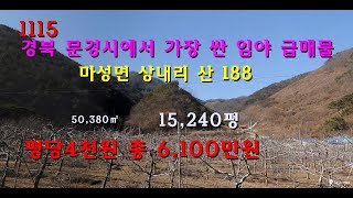 [번호 1115] 경북 문경시에서 가장 싼 임야 평당4천원