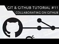 Git & GitHub Tutorial for Beginners #11 - Collaborating on GitHub