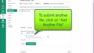 Submitting multiple files to a Canvas assignment