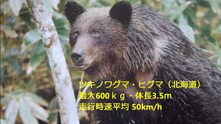 狩猟免許の取り方・必勝合格講座・ハンターになろう！ - sportsman hunter.