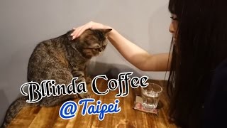 TAIPEI CAFE WITH CUTE CAT台北食記 白蓮達coffee抹茶控咖啡廳有可愛貓咪達達 | Moko