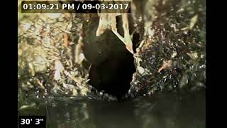 Compilation video of damaged sewer lines