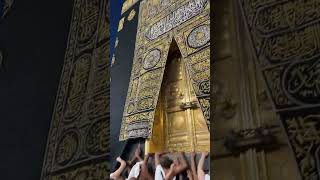 Touching kaaba tawaf kaaba safa marwa makkah live madina live #makkah #safamarwa #umrah #shortfeed