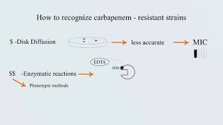 Carbapenem-resistant bacteria in Middle East - Video Abstract ID 176049