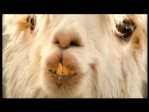 Oxfam Mastercard You're Gorgeous Christmas ad Oxfam Mastercard You're Gorgeous Christmas ad