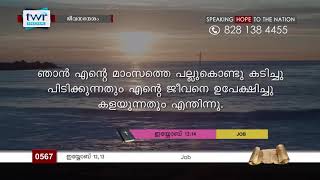 #TTB ഇയ്യോബ്  12,13 (0567) Job Malayalam Bible Study