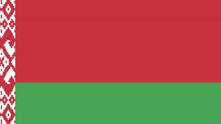 Belarus at the 2013 World Aquatics Championships | Wikipedia audio article