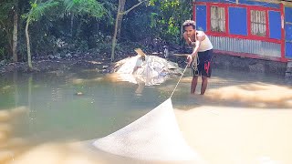 বৃষ্টি সাথে জোয়ারের পানি এবং বন্যার প্রভাবে পুকুর ,নদীর মাছ বাড়ীর উঠানে | Fish are now in backyards