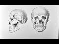 How to draw Anatomy of Head || Pencil Drawing Anatomy (Jamil Art)