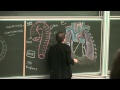 Cours d'anatomie : Aorte thoracique