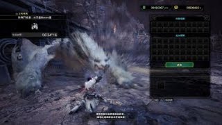 Monster Hunter World: Iceborne　冰牙龍　太刀　6'34