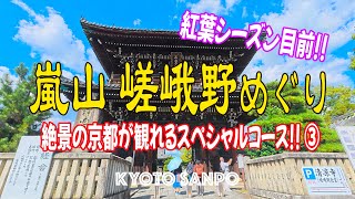 嵐山 嵯峨野の歩き方 ③ シーズン直前!! おすすめコースのご紹介 二尊院 清涼寺 長辻通り 嵐電キモノフォレスト 嵐山渡月橋 /絶景秋さんぽ/ Kyoto walk [京都4K]