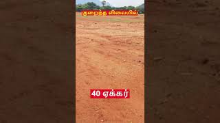 சேலம் மாவட்டம் ஆத்தூர் வட்டம் மல்லி கரை அருகில் சுமார் 40 ஏக்க விற்பனைக்கு