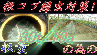 MMﾌﾟﾗｽ散布!!第４回戦は通路潅水!!本日はお疲れ様でした!!／きゅうり農家／きゅうり栽培／愉快なshata農園