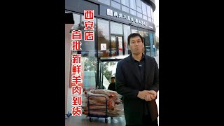 西安店新鲜羊肉今日抵店！营业就绪，感恩有您一路相伴与支持！ #陕北二后生 #横山羊肉