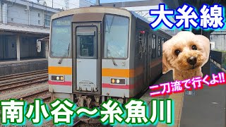 【二刀流】で【大糸線】廃線危機区間を乗車してみた!!