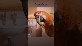 The woman eats a parrot, she becomes the Death God. #viralvideo #fantasy #movieclips