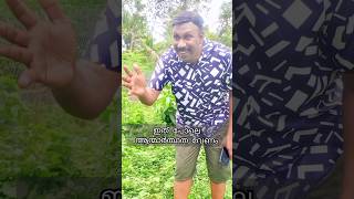 ബുദ്ധി കുറച്ച് കൂടുതലാ /viral funny video 😇🤗#viral #shorts #trending #funny #fails